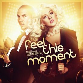 Обложка сингла Pitbull и Кристины Агилеры «Feel This Moment» (2013)