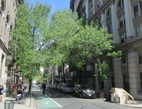 Christopher Street between Waverly Place and Sixth Avenue.jpg