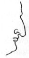«Соколийный нос» («ястребийный нос») — крупный нос с выпуклой спинкой без горбинки с направленным вниз кончиком, как разновидность «еврейского носа» («шнобель») с более крупным кончиком