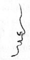 «Курносый нос» — нос некрупных размеров с приподнятым кончиком, спинка слегка впуклая, плоскость ноздрей образует небольшой угол кверху спереди от горизонтальной плоскости