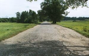 Cobblestoned road, Belarus.jpg