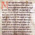 Страница из Codex Holmiensis (список «Jyske Lov»)