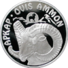 Coin of Kazakhstan 0242.png