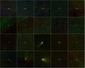 20 комет, открытых в ходе программы NEOWISE.