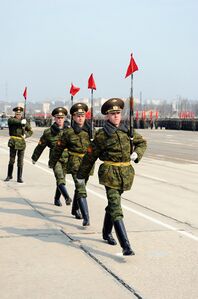 Прапорцы на штыках карабинов линейных роты почётного караула ВС РФ.