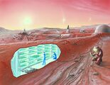 Представление художника о базе на Марсе, в разрезе садоводческий отсек