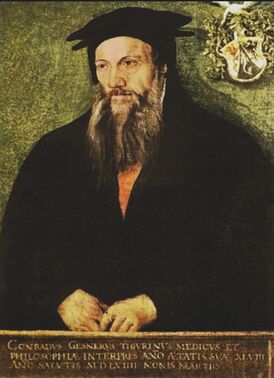 Портрет 1564 года