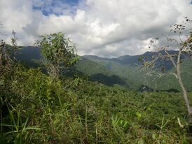 Cordillera de la Costa a su paso por el Municipio Zamora, Estado Miranda.jpg