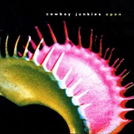 Обложка альбома Cowboy Junkies «Open» (2001)