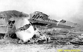 D034 katastrofa samoljota an-24b.jpg