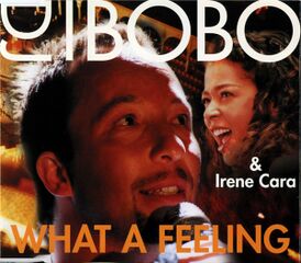 Обложка сингла DJ BoBo & Айрин Кара «What a Feeling» ()