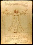 Леонардо да Винчи. Витрувианский человек. 1492