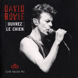 Обложка альбома Дэвида Боуи «Ouvrez le Chien (Live Dallas 95)» (2020)