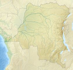 Болотные леса Восточного Конго (Демократическая Республика Конго)