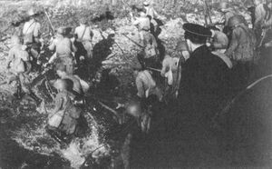 Высадка Усть-Тосненского десанта, 19 августа 1942 г.
