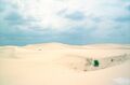 Песчаный участок пустыни на западе Техаса