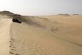 Песочные дюны в пустыне рядом с оазисом