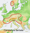 Distribution map Campanula barbata.png