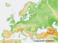 Distribution map Campanula betulifolia.png