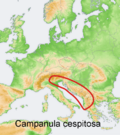 Distribution map Campanula cespitosa.png