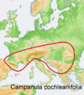 Distribution map Campanula cochleariifolia.png