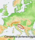 Distribution map Campanula portenschlagiana.png