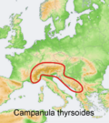 Distribution map Campanula thyrsoides.png
