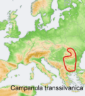 Distribution map Campanula transsilvanica.png