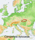 Distribution map Campanula xylocarpa.png