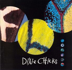 Обложка альбома Dixie Chicks «Fly» (2000)