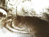 Бычьи рога, найденные в погребальной нише в одном из "домов ведьм"