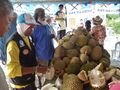 Дуриан — любимый фрукт малайцев