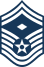 E8b USAF 1STSGT2.svg