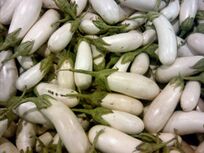 Eggplant White.jpg