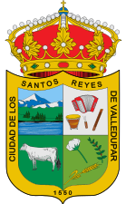 Герб города и муниципалитета Вальедупар (Колумбия)