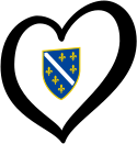 Босния и Герцеговина (1992—1997)