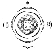 Evonymus europaea flowerdiagram.png