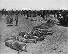 Тела казнённых во время «варфоломеевских ночей» в Евпатории, выброшенные на берег летом 1918 года.
