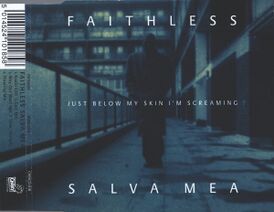 Обложка сингла Faithless «Salva Mea» (1995)