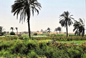 Вид оазиса Эль-Файюм в 2008 г.
