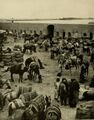Караван-сарай в Эль-Фаллудже в использовании, около 1914