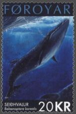 Сейвал на почтовой марке Фарерских островов 2001 года выпуска.