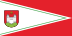 Flag of Čašniki.svg