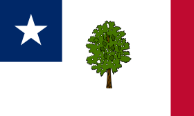 флаг штата Миссисипи (1861 - 1894)