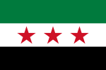 Флаг, используемый оппозицией 2011—