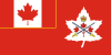 Флаг Армии Канады