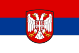 Флаг Недичевской Сербии