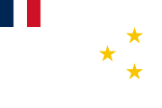 Флаг государства Халеб 1 сентября 1920 — 25 января 1925
