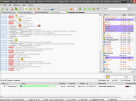 Скриншот программы FlylinkDC++