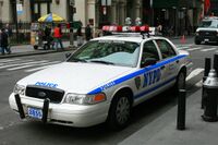 Один из автомобилей полиции Ford Crown Victoria, полицейской модификации.